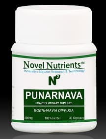 Punarnava - Boerhaavia diffusa - 300 mg